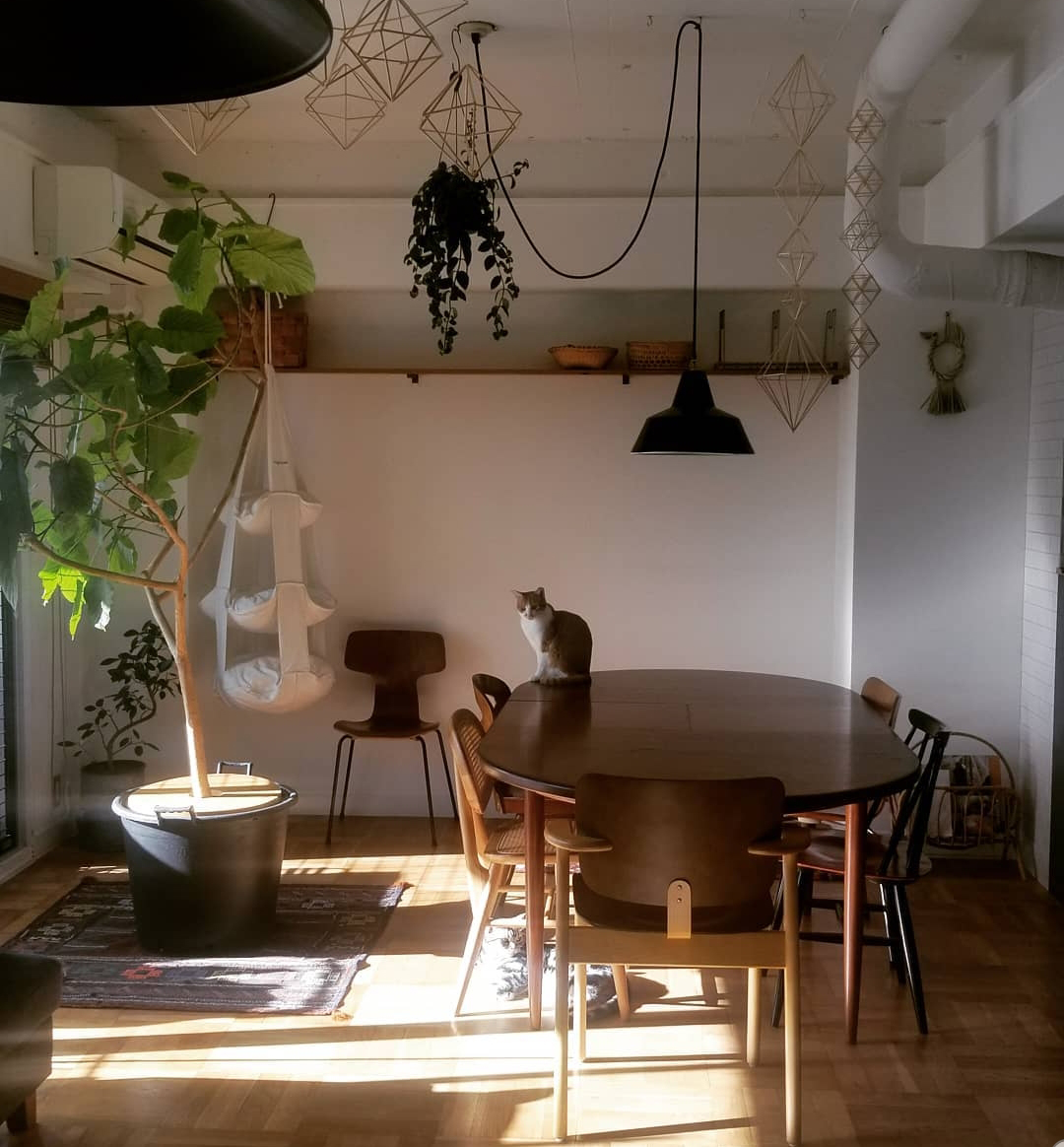 ヒンメリのある部屋